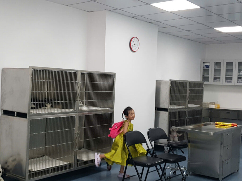 Giới thiệu kỹ thuật hệ thống chuồng lưu trú chó mèo inox cho bệnh viện thú cưng 17 30694122804552177029 1