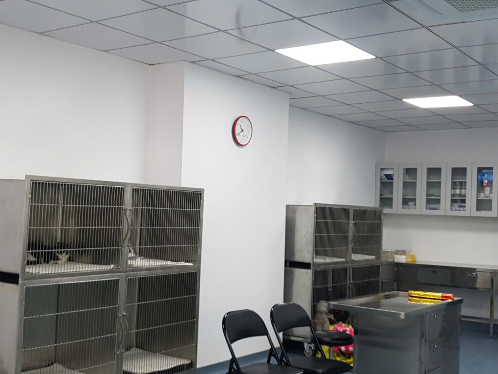 Giới thiệu kỹ thuật hệ thống chuồng lưu trú chó mèo inox cho bệnh viện thú cưng 10 36096218930130312951 1